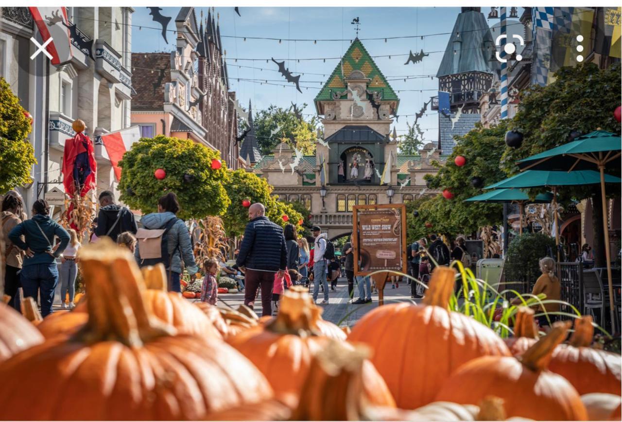 Apartamento Location Mh Situee A 15 Mn D Europa Park Et Rulantika Boofzheim Exterior foto